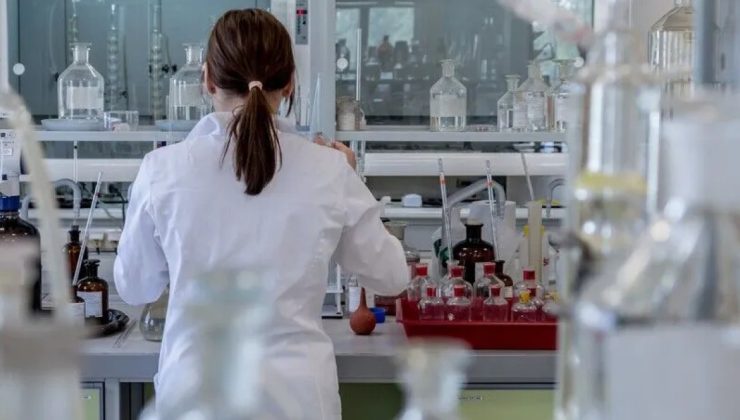 Avustralya’da memeli hayvanda ilk kuş gribi vakası doğrulandı