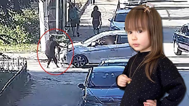 3 yaşındaki Elif Mavi’yi hayattan koparan kaza! Acılı aile, şoför için verilen karara isyan etti