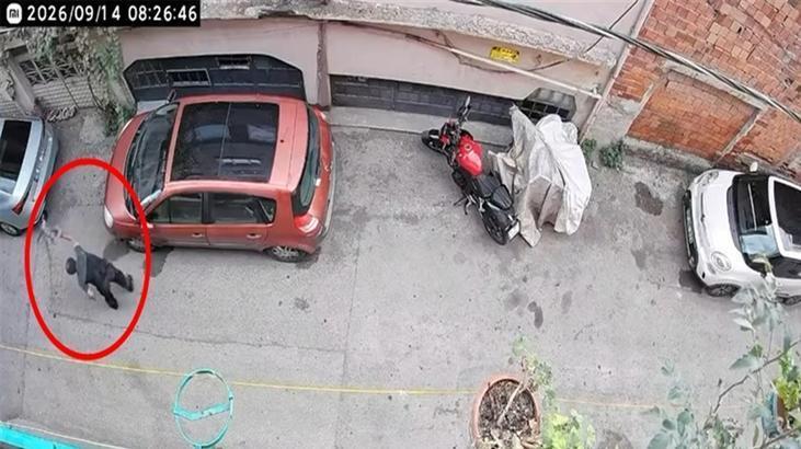 Bursa’da kucağında kediye şiddet uygulamıştı! O şüpheli gözaltında