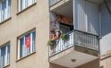 Gebze’de en güzel balkon seçilecek! Yaklaşık 800 sardunya yerleştirildi: Kazanan ödülü alacak