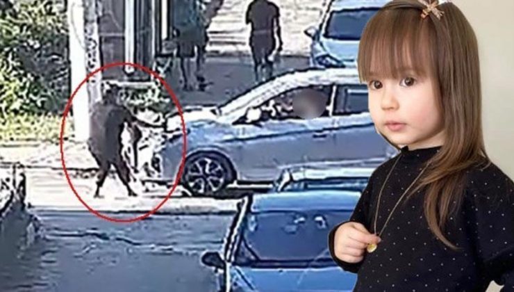 Minik Elif Mavi’nin ölümünde yeni gelişme! Sürücü yeniden gözaltında