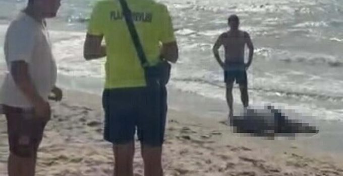 Yattan düşerek hayatını kaybeden iş insanının cesedi sahilde vurdu