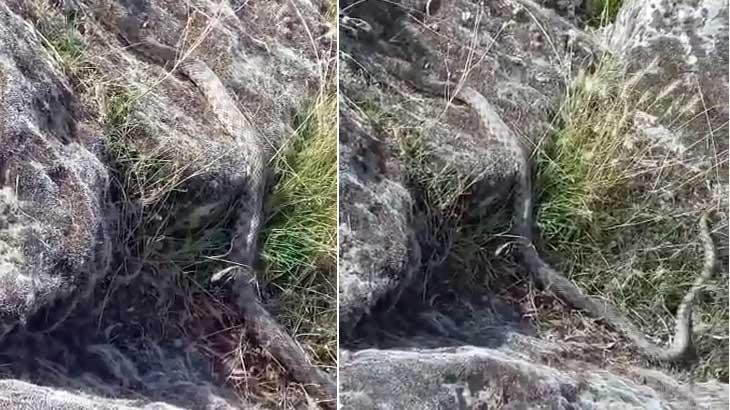 Aksaray’da göl kenarında yürüyüş yaparken 3 metre yılanla karşılaştı