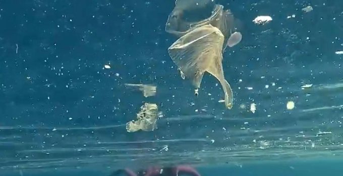 Antalya’da denize girenler plastik atıkların arasında yüzdü! Uzman isimden kritik uyarı