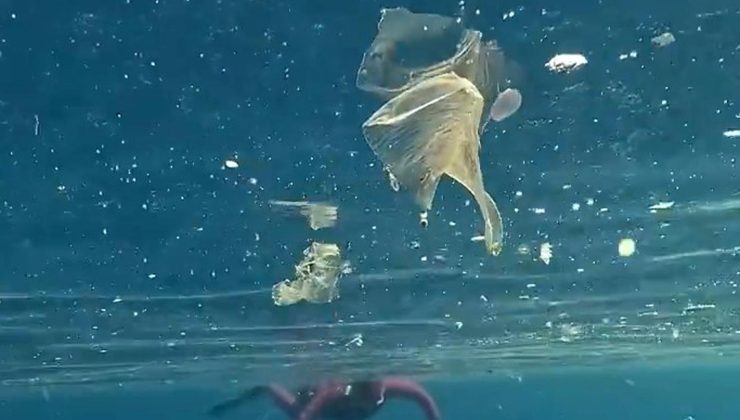 Antalya’da denize girenler plastik atıkların arasında yüzdü! Uzman isimden kritik uyarı
