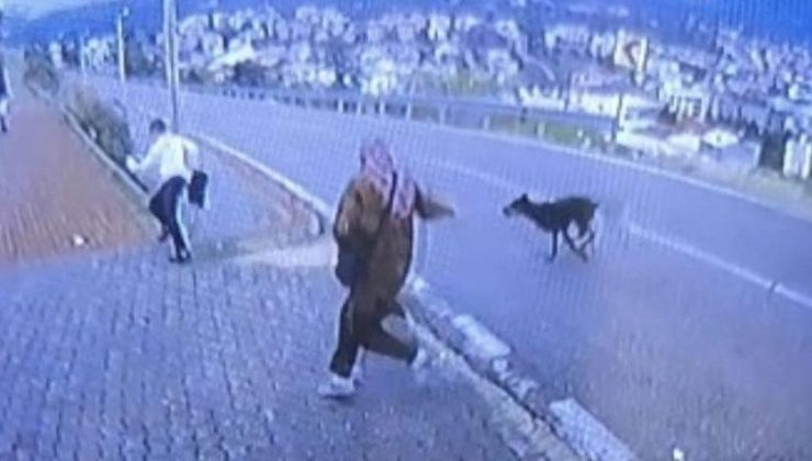 Bursa’da köpek dehşeti! Kaçmaya çalışan çocuk bacağını kırdı