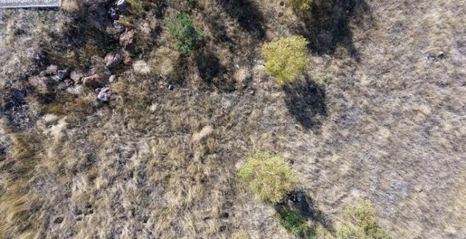 Erzurum’da 93 Harbi’nin unutulan kahramanları! 7 kardeşin mezarı otların arasında
