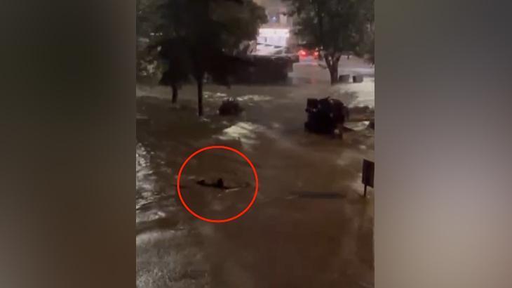 Sarıyer’de korkunç anlar! Göle dönen caddede akıntıya kapılmamak için böyle yüzdü: O anlar kamerada