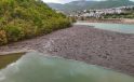 Tunceli’de sağanak sonrası korkutan görüntü! Munzur ve Pülümür’den gelen atıklar kıyıya yığıldı