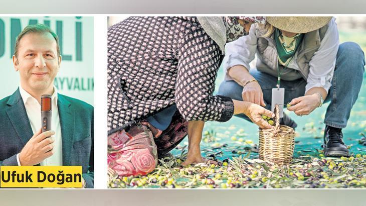 Zeytin hasadının kahramanları kadın çiftçiler